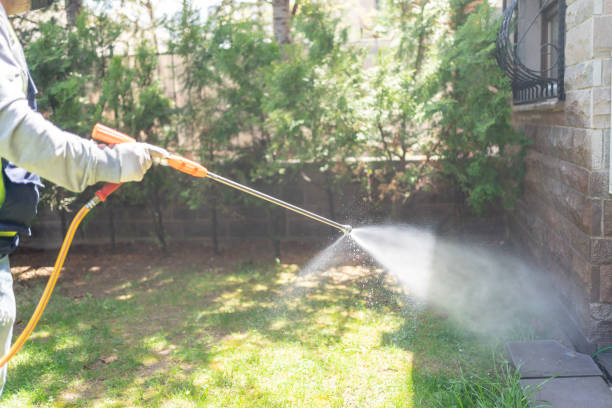Bird Control in Wyomissing, PA