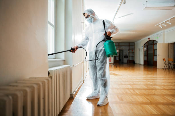 Trusted Wyomissing, PA Pest Control Experts