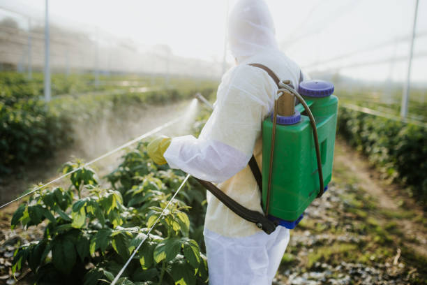 Best Affordable Pest Control Services  in Wyomissing, PA